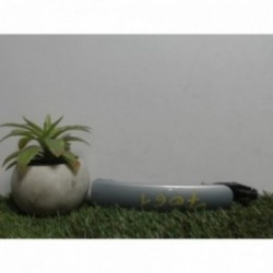 Poignee porte avant gauche...