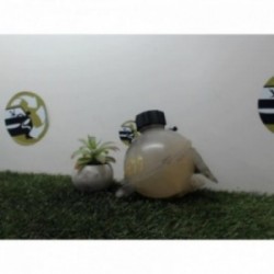 Vase d'expansion CITROEN C4...