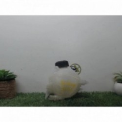 Vase d'expansion CITROEN...