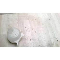 Vase d'expansion RENAULT...