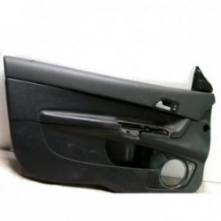 Panneau de porte avant...