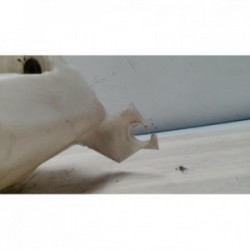 Vase de lave glace...