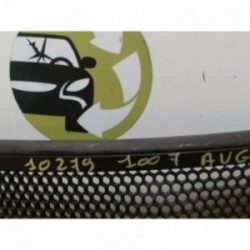 Grille de calandre gauche...