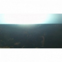 Porte arriere droit MAZDA 2...