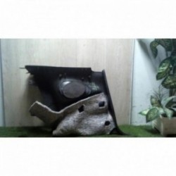 Garniture porte arriere...