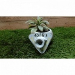 Repetiteur clignotant avant...