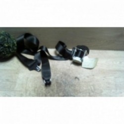 Ceinture arriere gauche...