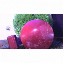 Trappe d'essence HYUNDAI...