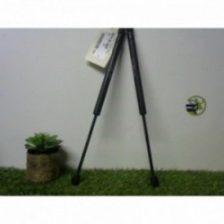 Verin de capot SSANGYONG KYRON