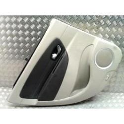 Panneau de porte arriere...