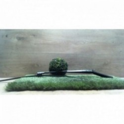 Bras essuie glace avant...