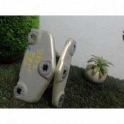 Charniere de porte arriere...