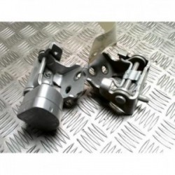 Charniere de porte arriere...